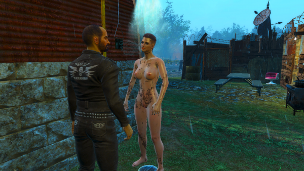 У Кейт вдруг - появился друг! ))) Fallout4