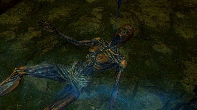 enb 2019_12_28 00_57_52_17.jpg