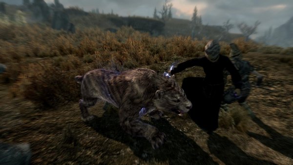 TESV 2019-12-01 17-26-07-77.jpg