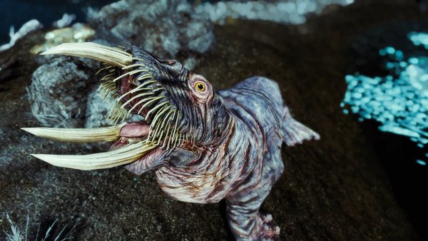 Каков красавец