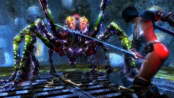 Битва с гигантским пауком.. SkyrimLE (Тропики 4.0)