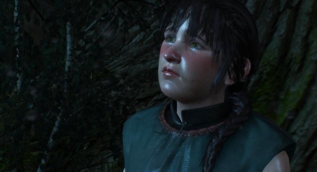 witcher3 2020-01-28 21-51-25-43.jpg