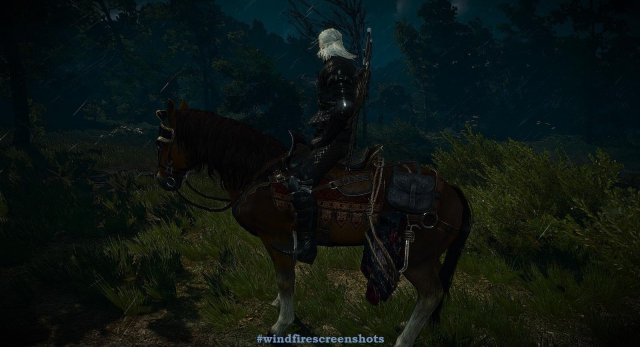 witcher3 2020-01-28 21-28-09-33.jpg