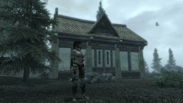 Стены есть, крыша (как будто) на месте, можно заселяться. 2020.01.08 - 23.29.51.60