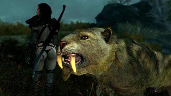 Киса рада вервольфам.. SkyrimSE