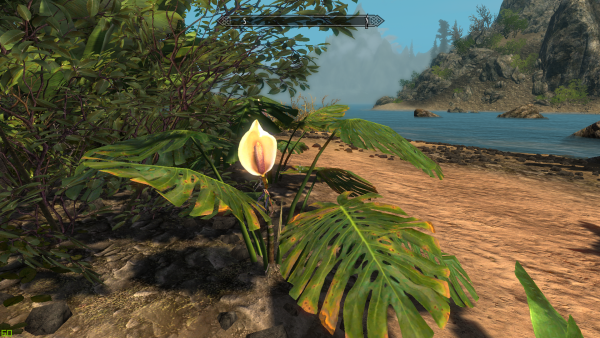 Desktop Screenshot 2019.12.29 - 11.11.29.07.png