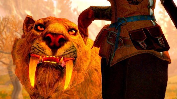 Хорошая киса! SkyrimSE (сборка 6.0 ЛЕТО)