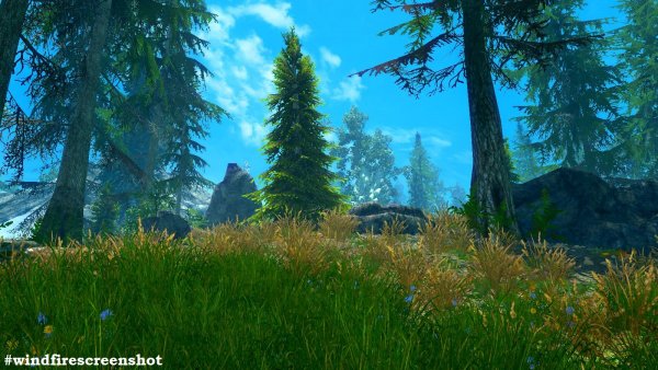 Летняя часть Скайрима в (сборка 6.0 ЛЕТО)
