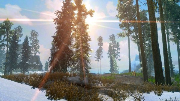 Природа в SkyrimSE (сборка 6.0 ЛЕТО-зима)