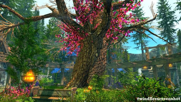 А в Вайтране зацвел Златолист! (сборка 6.0 ЛЕТО)