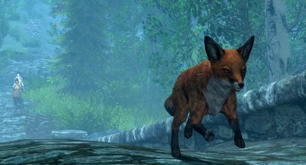 Лисёнок удирающий от нас со всех ног! ))