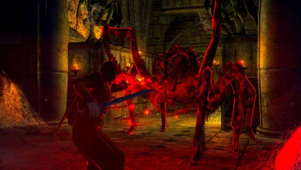 Мастер-вампир бьющейся с гигантским пауком..