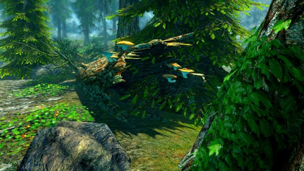 Текстурки мира.. (SSE сборка 6.0)