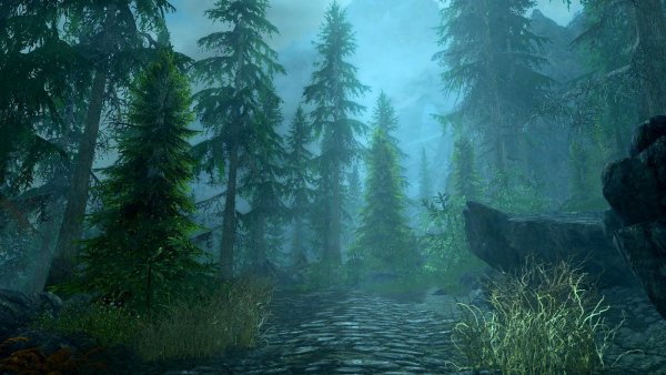 Светает в лесу.. Skyrim SE (сборка 6.0)