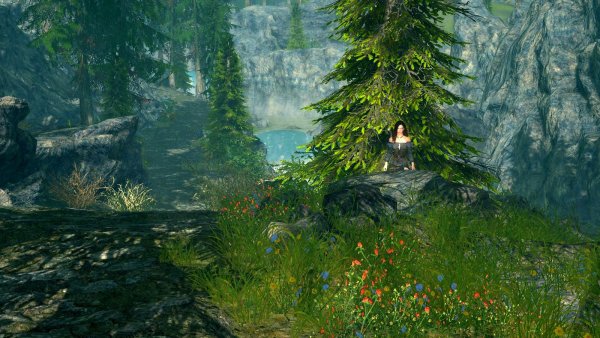 Дорога близ Ривервуда. Skyrim SE (сборка 6.0)