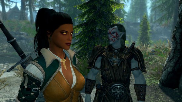 Дориана предложила путнику отойти с дороги..