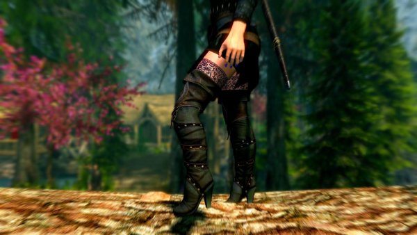 Сапожки.. Skyrim SE (сборка 6.0)