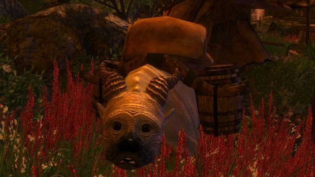 enb 2020_02_23 01_24_19_51.jpg