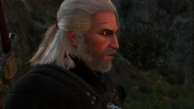 witcher3 2020-01-29 19-25-43-70.jpg