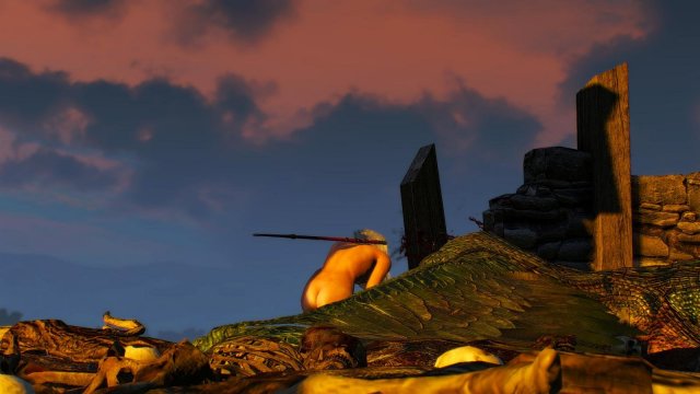 witcher3 2020-01-29 22-20-44-45.jpg