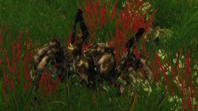 enb 2020_02_17 18_39_53_04.jpg