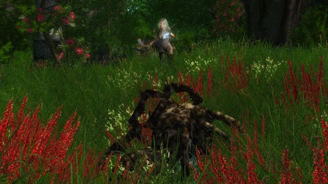 enb 2020_02_17 18_40_14_17.jpg