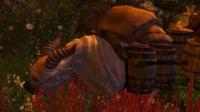 enb 2020_02_23 01_24_26_65.jpg