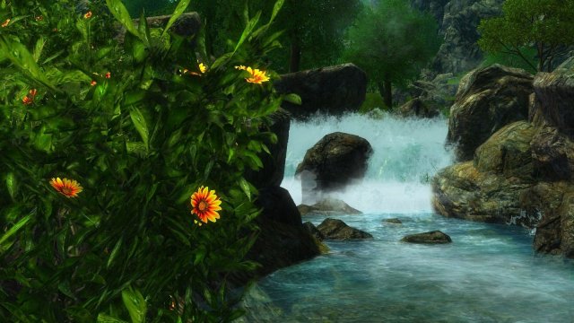 enb 2020_02_19 19_07_00_94.jpg