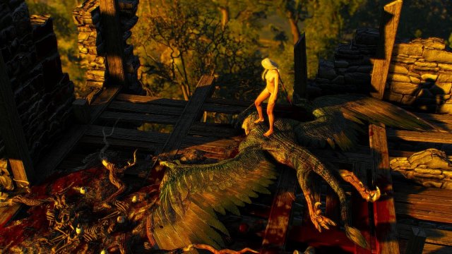 witcher3 2020-01-29 22-20-36-10.jpg