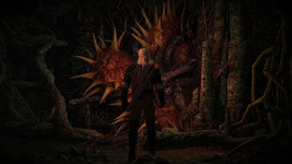 А что вы делаете с этой хренью? witcher3