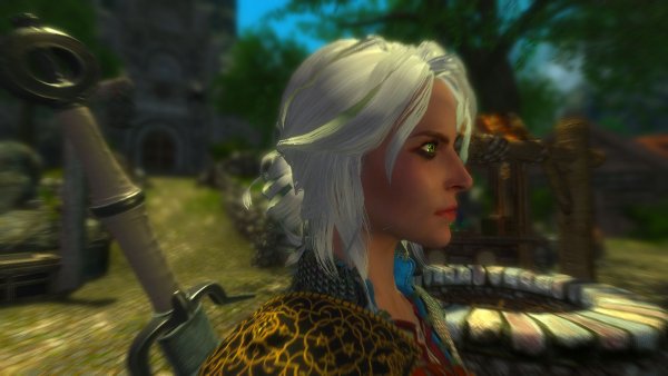 ЦИРИ вблизи храма.. Enderal (СБОРКА 3.0)