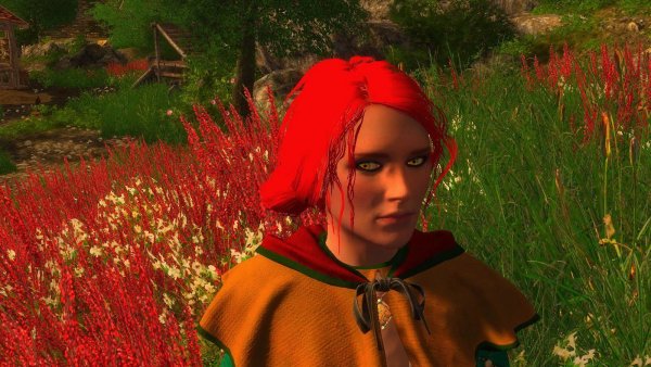 ТРИСС в Enderal Forgotten Stories (СБОРКА 3.0