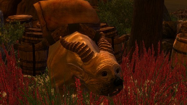 Собако-лошадь ))) (СБОРКА 3.0)