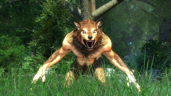 Теперь в эндерал можно превращатся в оборотня!