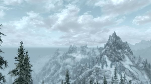 TESV 2020-03-01 17-42-17-98.jpg