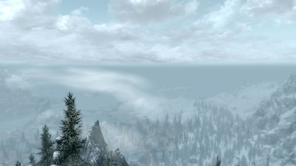 TESV 2020-03-01 17-42-42-58.jpg