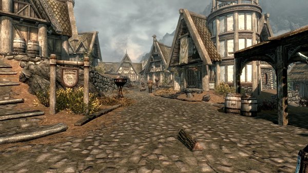 TESV 2020-03-29 17-46-15-48.jpg