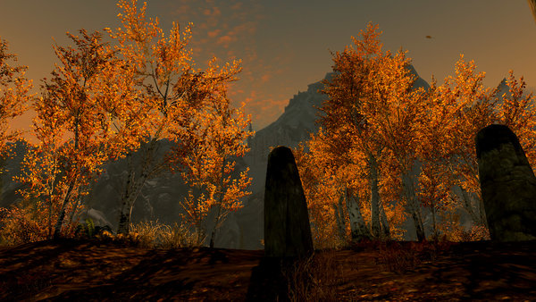 TESV 2017-02-19 14-00-07-125.jpg