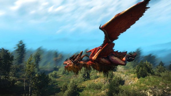 Летающая Виверна.. WITCHER III