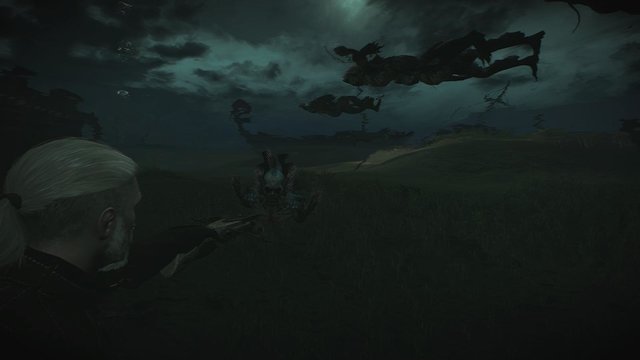 witcher3 2020-02-15 00-27-21-55.jpg