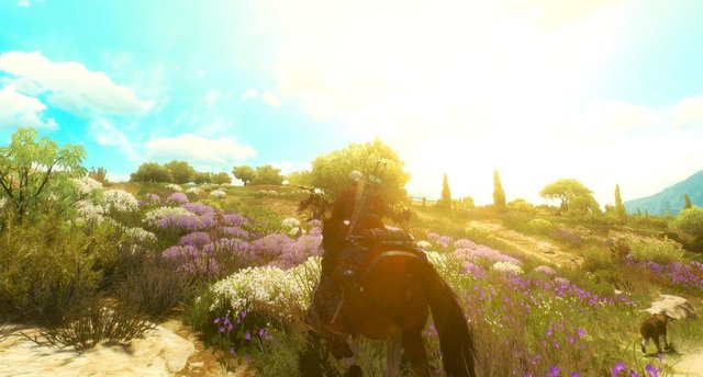 witcher3 2020-02-13 00-27-51-19.jpg