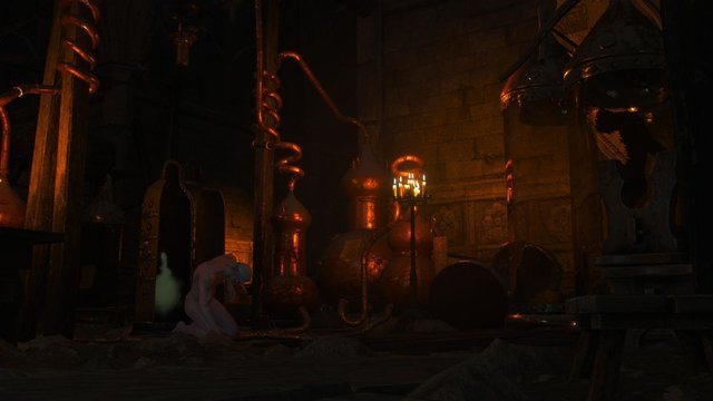 witcher3 2020-02-13 23-27-16-88.jpg