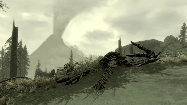 TESV 2020-04-15 15-52-19-78.jpg