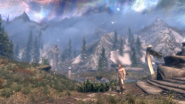 TESV 2020-04-28 17-32-16-19.jpg