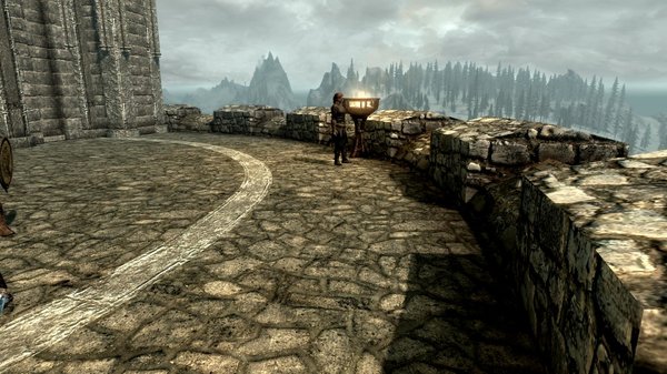 TESV 2020-04-28 15-35-43-87.jpg