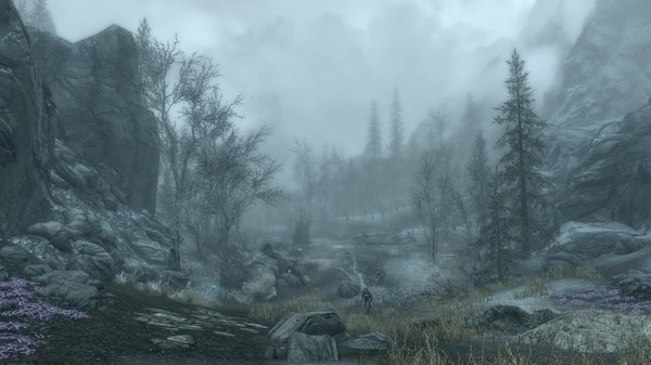 TESV 2020-04-29 17-50-28-31.jpg