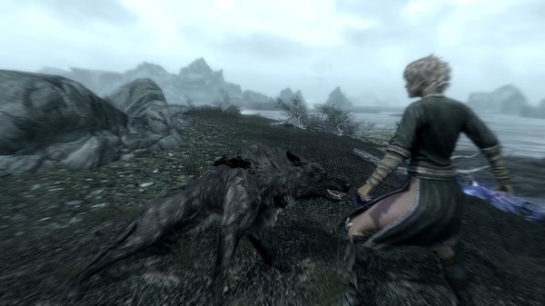 TESV 2020-04-13 17-28-23-88.jpg