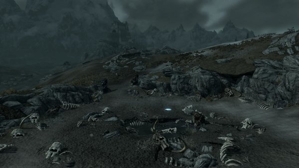 TESV 2020-04-13 17-09-03-04.jpg