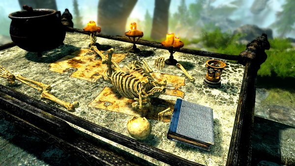 SkyrimSE (сборка 6.0)