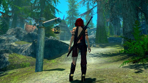 Что задомик в лесу? SkyrimSE (сборка 6.0)